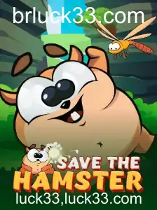 Explorando o Fascinante Mundo de SavetheHamster